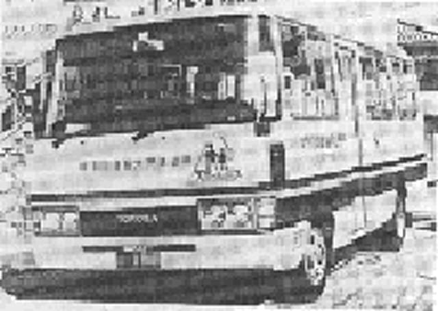 福祉輸送の芽生え時の様子