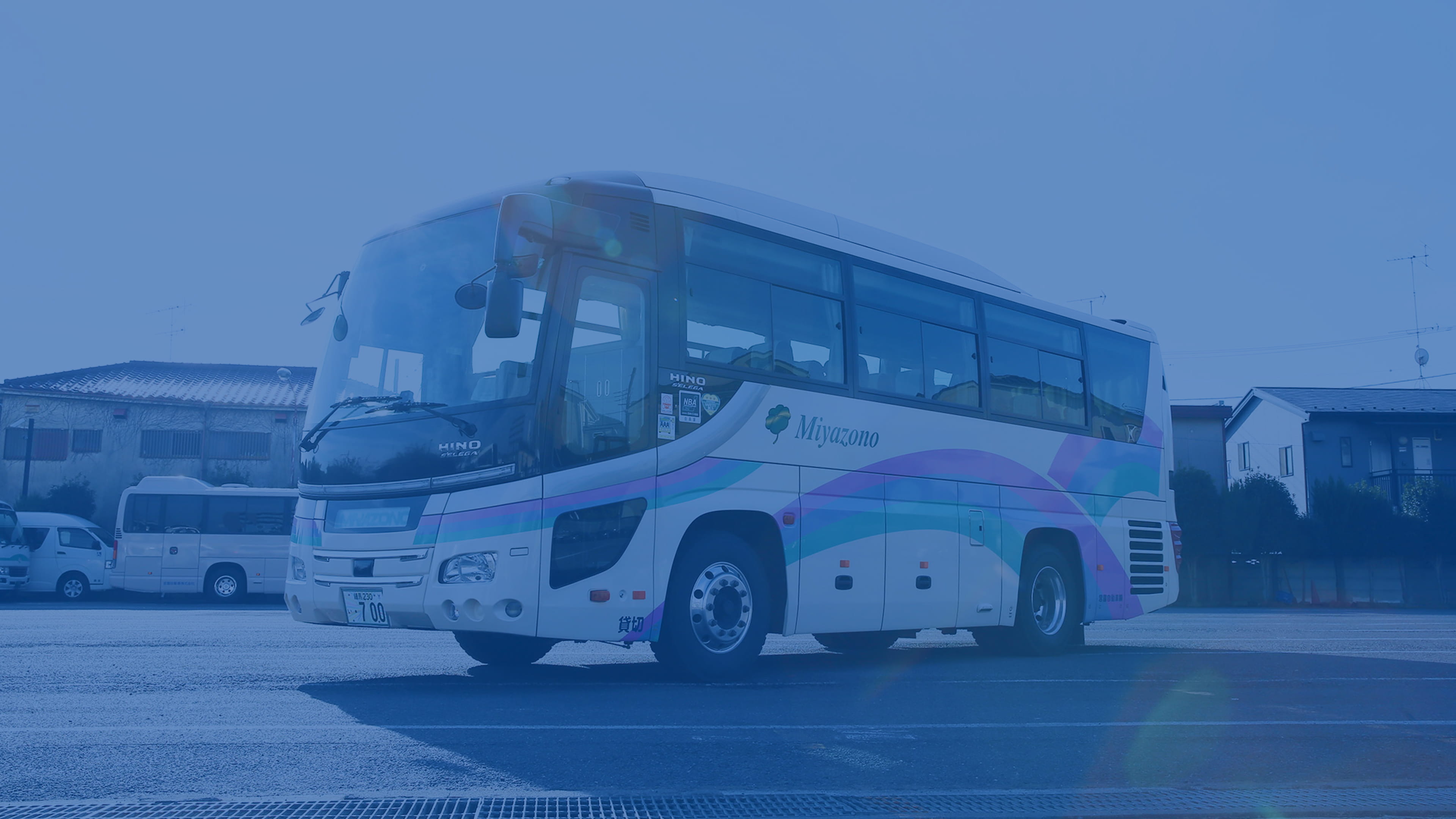 コンタクトセクションの背景