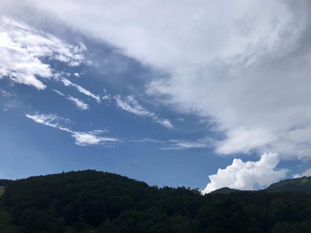 写真の説明はありません。