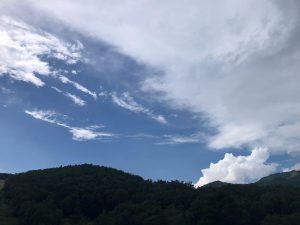 写真の説明はありません。